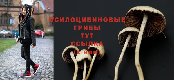 гашик Гусев