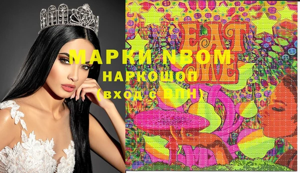 гашик Гусев