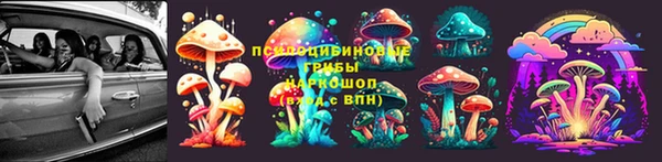круглые Гусь-Хрустальный
