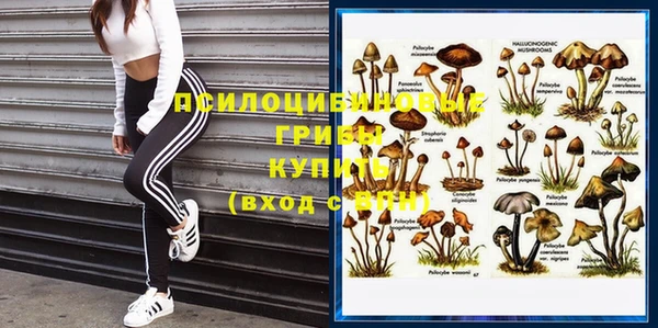 круглые Гусь-Хрустальный