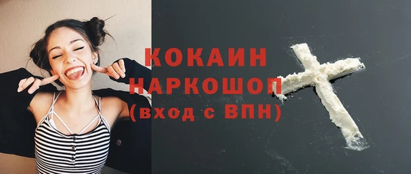 гашик Гусев