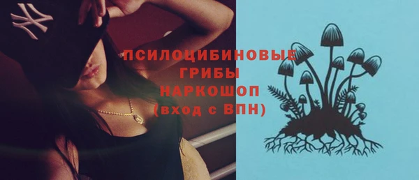 гашик Гусев