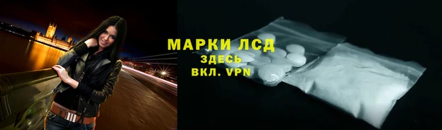 гашик Гусев