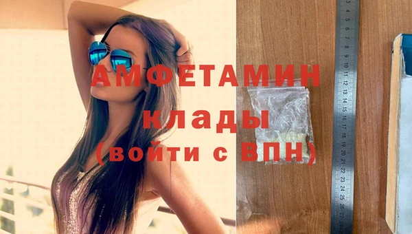 гашик Гусев