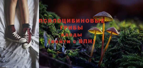 гашик Гусев