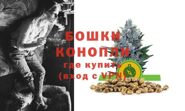 ГАЛЛЮЦИНОГЕННЫЕ ГРИБЫ Гусиноозёрск