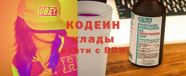 гашик Гусев