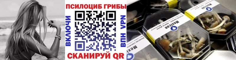 Купить где  Зарайск  Псилоцибиновые грибы прущие грибы 