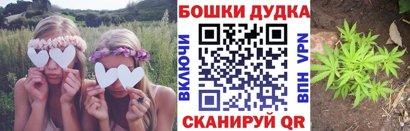 Купить где  Зарайск  Бошки Шишки гибрид 
